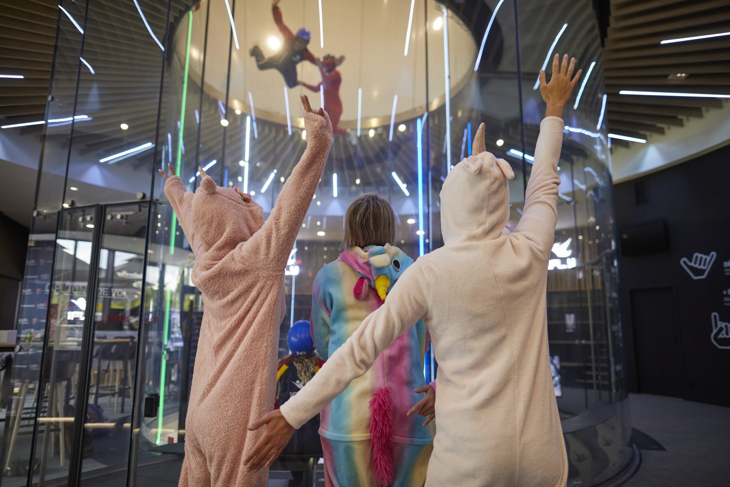 Groupe EVG EVJF iFLY Aix-Marseille